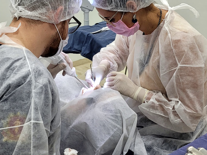 Foto 2 de Dra Julia Elis Johann Pigosso, Cirurgiã-Dentista