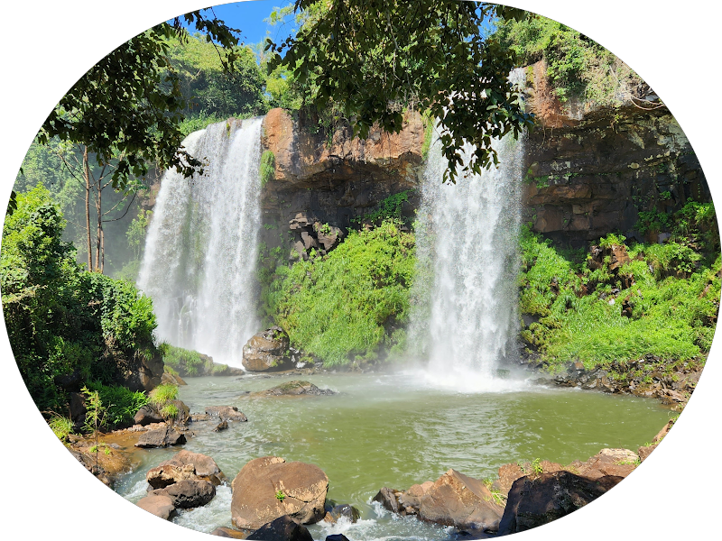 Foto de Dra. Juliana Abreu Marques (Dentista)