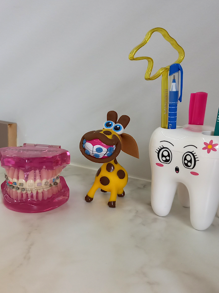 Foto 3 de Dra. Juliana Mondini Ruiz Firens | Dentista em Limeira | Ortodontia | Alinhadores Invisíveis | Estética Dental