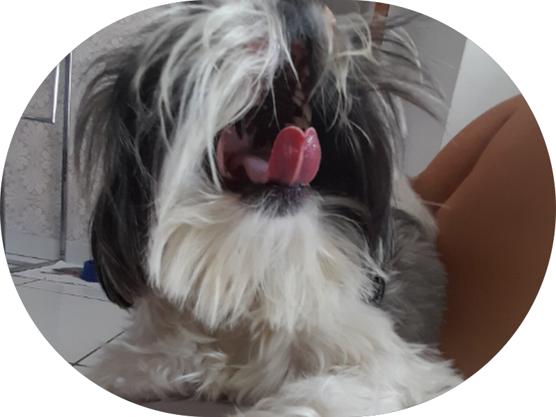 Foto de dra. Julianne Santos dentista