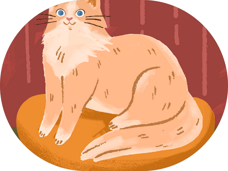 Foto 2 de dra. Julianne Santos dentista