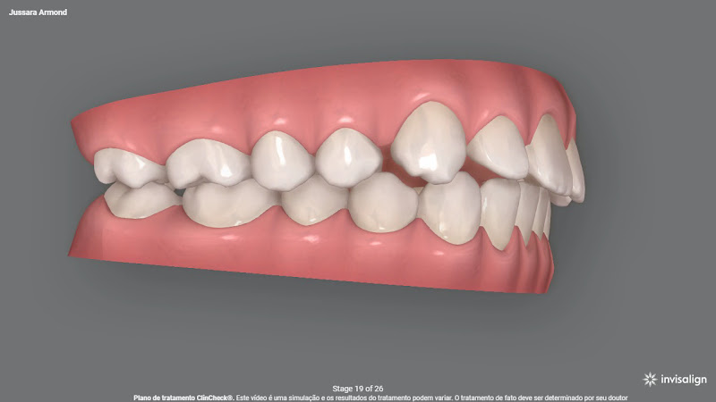 Foto 3 de Dra. Jussara Armond