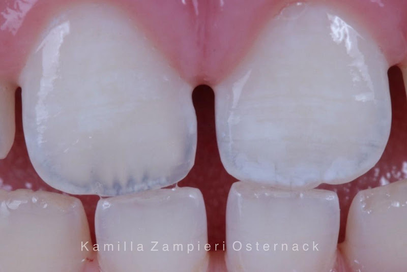 Foto 3 de Dra Kamilla Zampieri Osternack