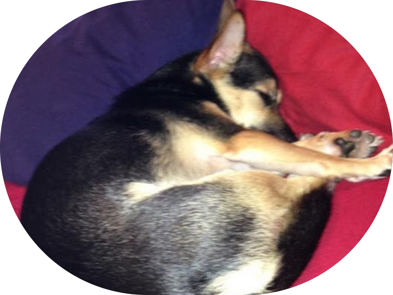 Foto 3 de Dra. Karen Scopel Nunes - Cirurgiã Dentista