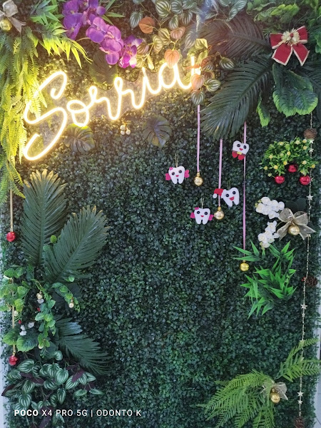 Foto 2 de Dra Katia Albuquerque - Dentista