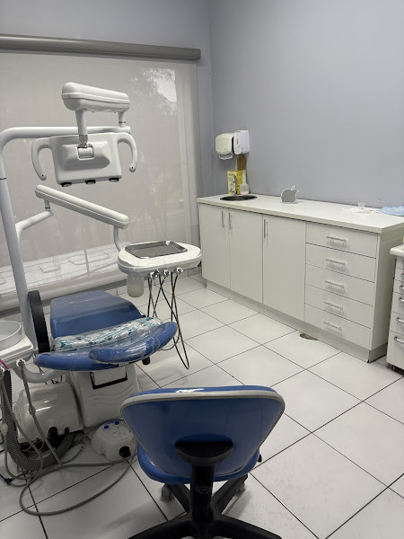 Foto 2 de Dra. Katia Martins Braga