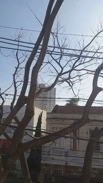 Foto 4 de Dra Katia Natalino Heins