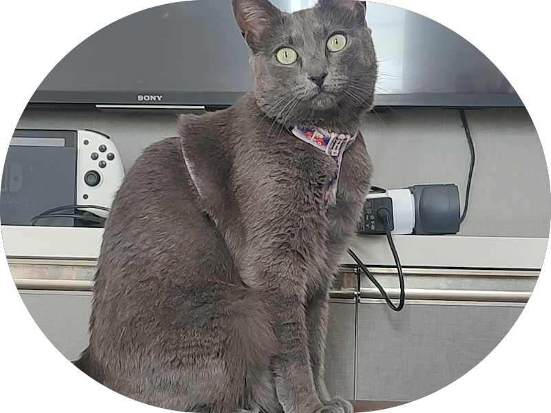 Foto 3 de Dra.Lady Maia