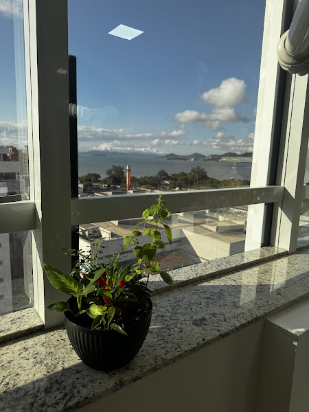 Foto 3 de Dra. Lara Bacha Cirurgiã-Dentista