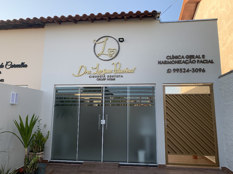 Foto 3 de Dra Larissa Paschoal Dentista