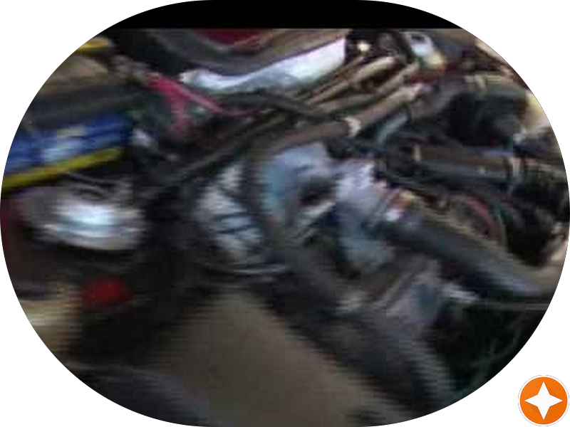 Foto 5 de Dra. Laura Fávero Xavier