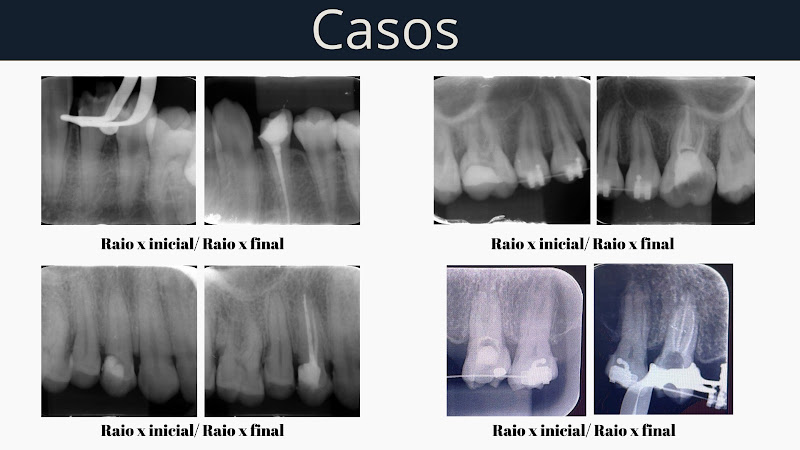Foto 3 de Dra. Laura Marques C. Jaime