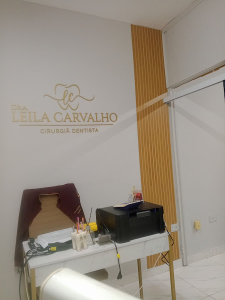 Foto 3 de Dra Leila Carvalho