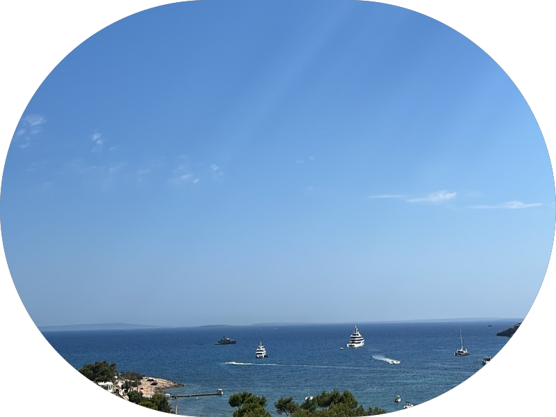 Foto 5 de Dra Ligia Juliano