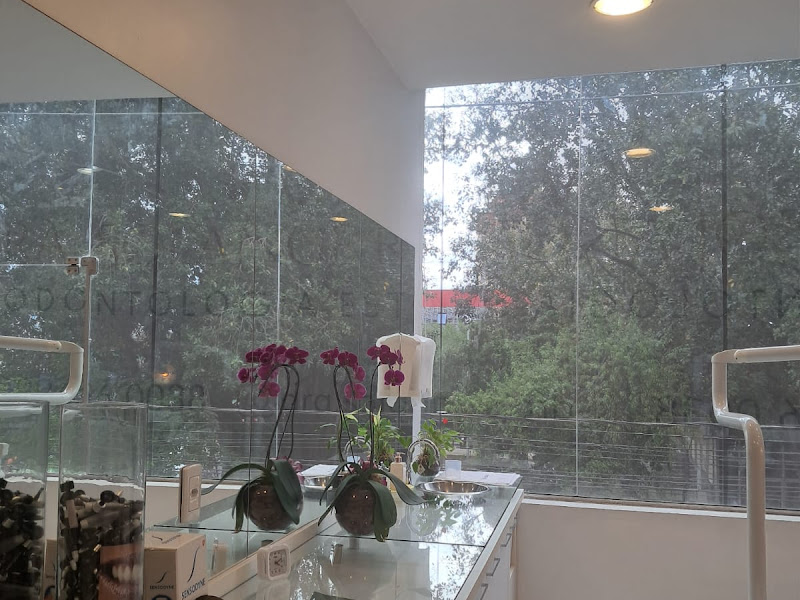 Foto 3 de Dra. Lisiane Fracasso | Odontologia Clínica, Estética e Reabilitação (Check up, Clareamento, Restaurações, Implantes)