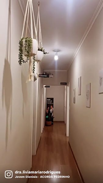 Foto 3 de Dra Lívia Maria Rodrigues Ortodontia Endodontia Dentistica Estética