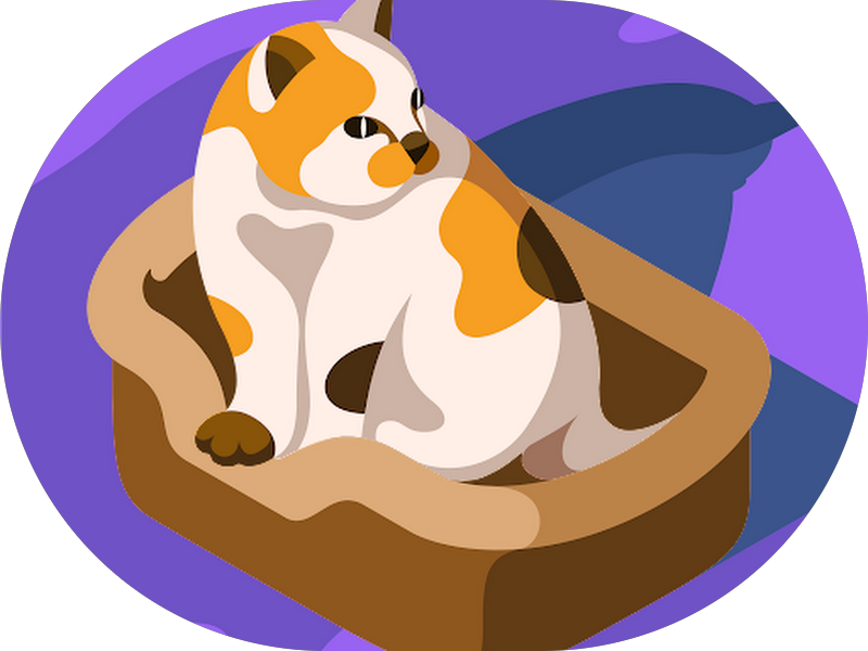 Foto 5 de Dra. Louise Azevedo - Ortodontia (Aparelho fixo e alinhador) e Bucomaxilofacial