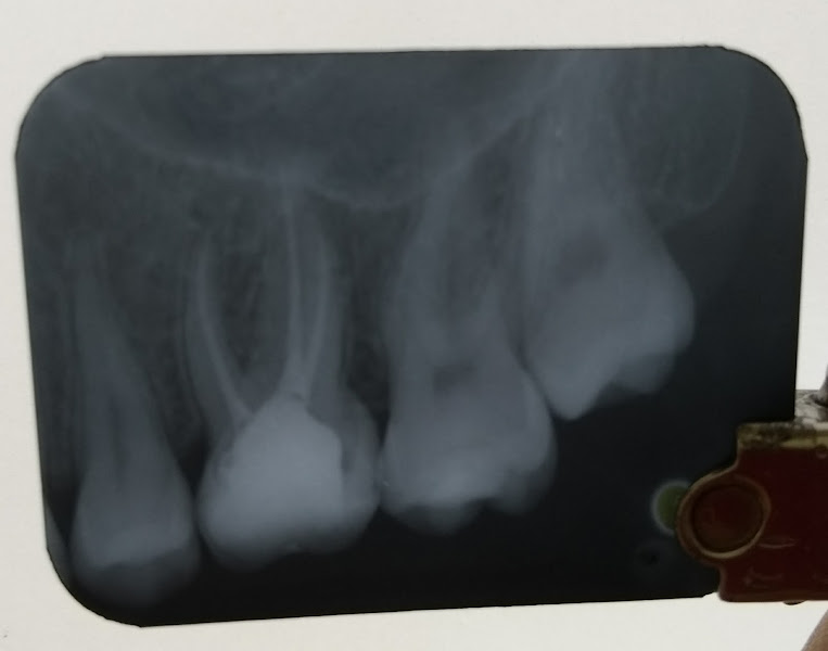 Foto 2 de Dra Luciana Crespo Goulart . Dentista em São Gonçalo. Especialista em tratamento de canal.