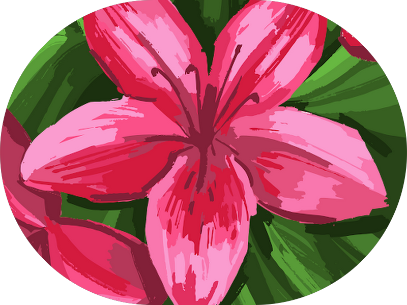 Foto 5 de Dra Luciana Kayser | Odontologia Estética