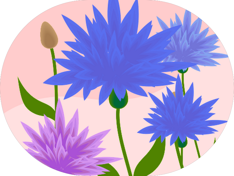 Foto 4 de Dra Luhana Garcia Odontopediatra - Cascavel Pr