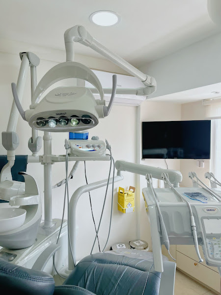 Foto 2 de Dra Luísa Faber