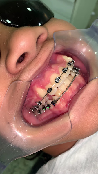 Foto 3 de Dra Luísa Faber