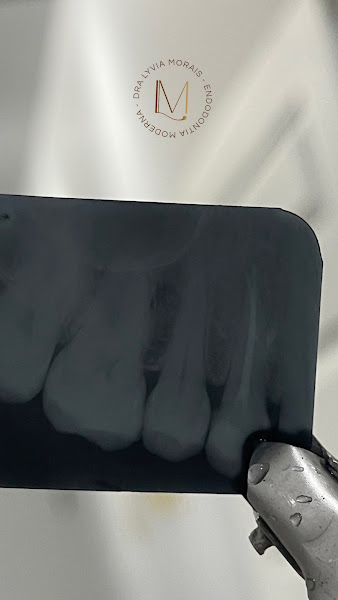 Foto 3 de Dra Lyvia Morais - Odontologia