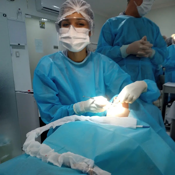 Foto 3 de Dra. Maíra Fernandes Odontologia