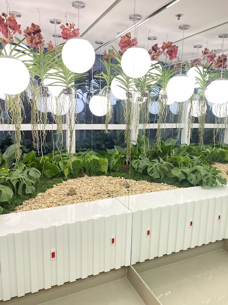 Foto 5 de Dra. Manu Barcelos - Referência em Rejuvenescimento Facial