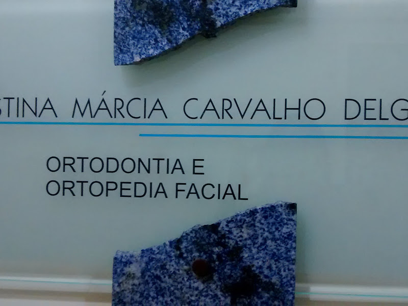 Foto 2 de Dra. Marcia Cristina de Souza