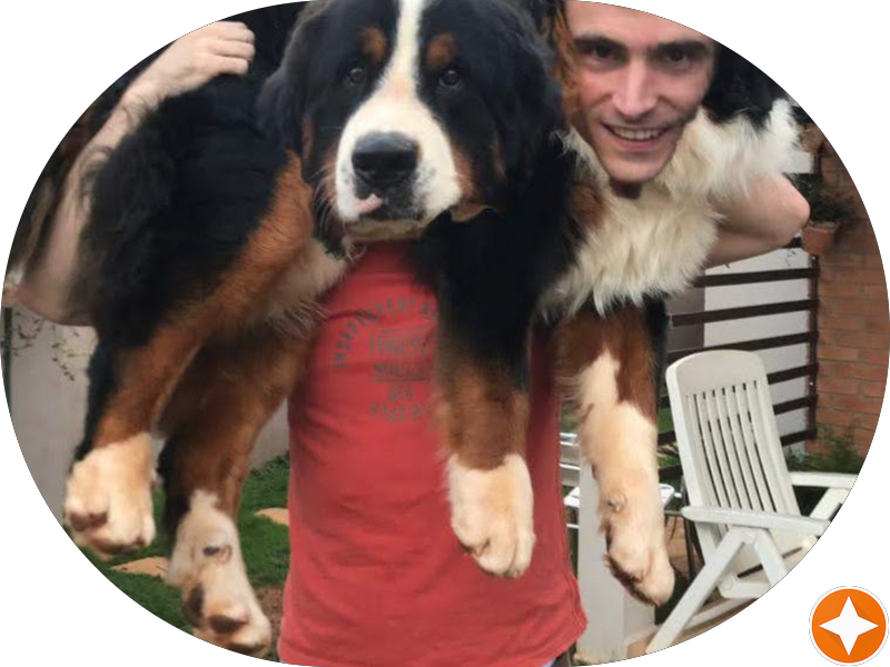 Foto 2 de Dra. Marcia Darros Odontologia