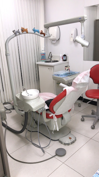 Foto 2 de Dra Maria Cristina Menezes Pires Maltos