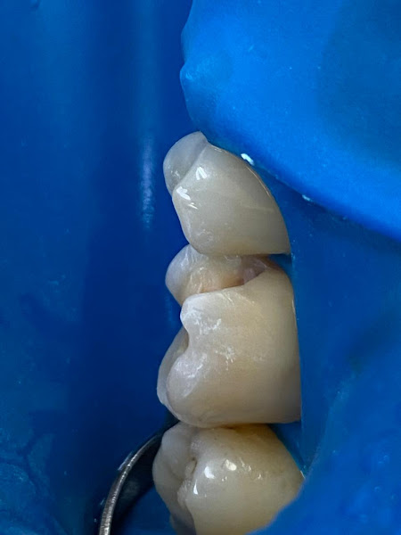 Foto 3 de Dra. Maria do Carmo Teixeira