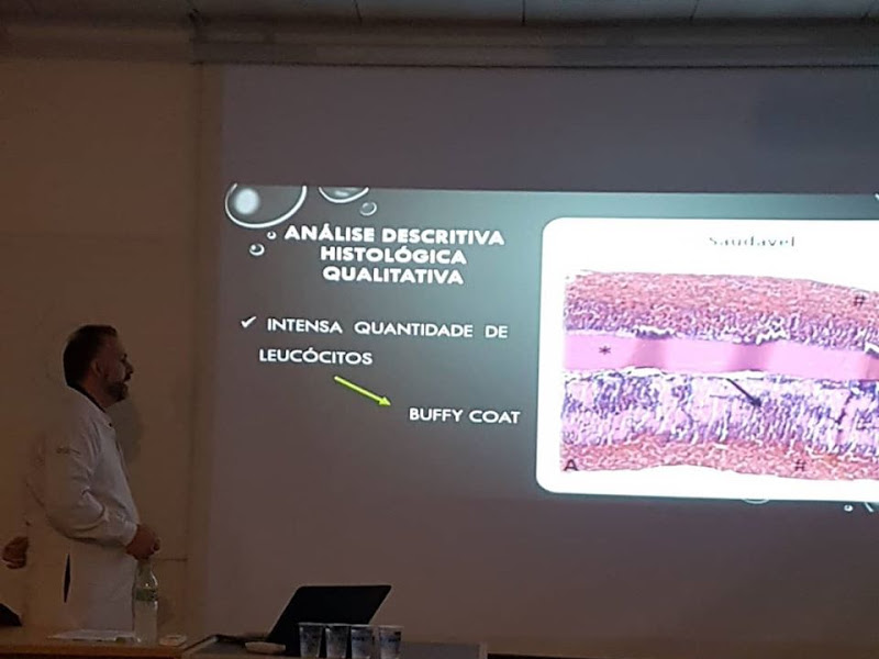 Foto 3 de Dra. Maria Renata Brenelli