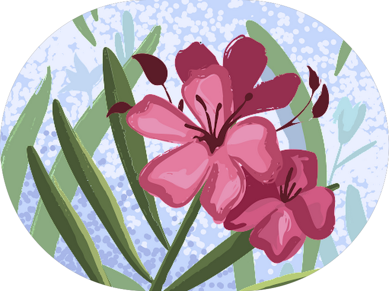 Foto 2 de Dra Mariana Scatola