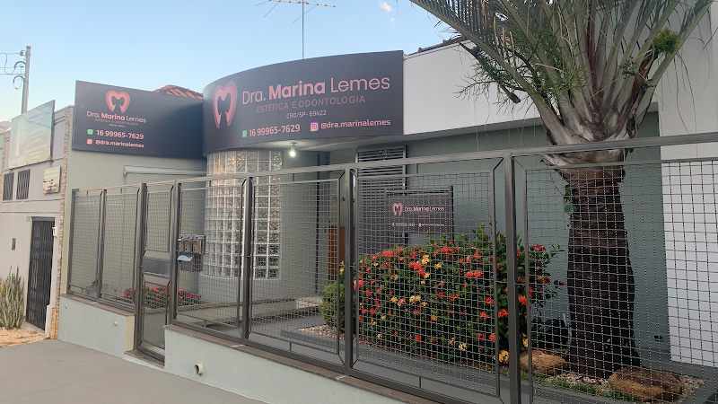 Foto 2 de Dra. Marina Lemes - Estética e Odontologia