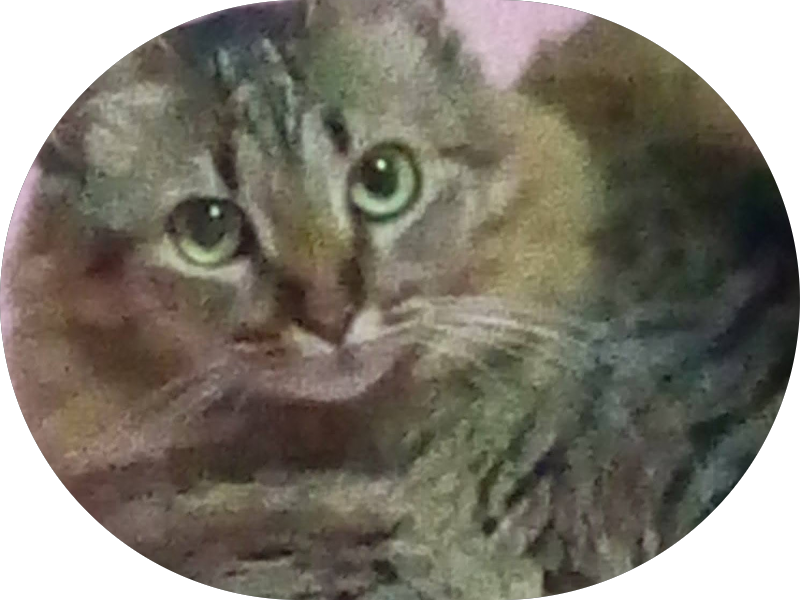 Foto de Dra. Marina Levrero CROSP 132269