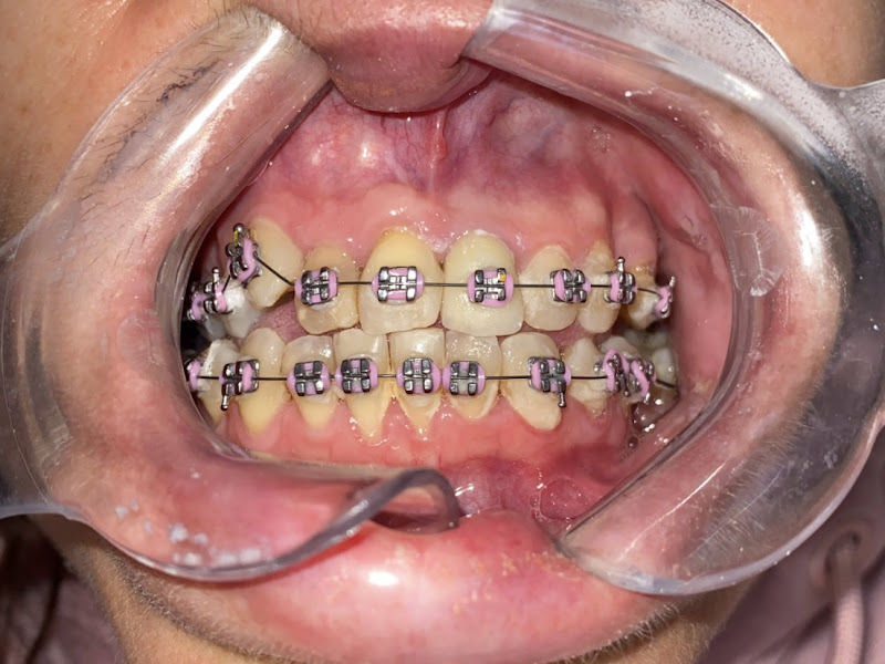 Foto de Dra Marina Longoni Ortodontia