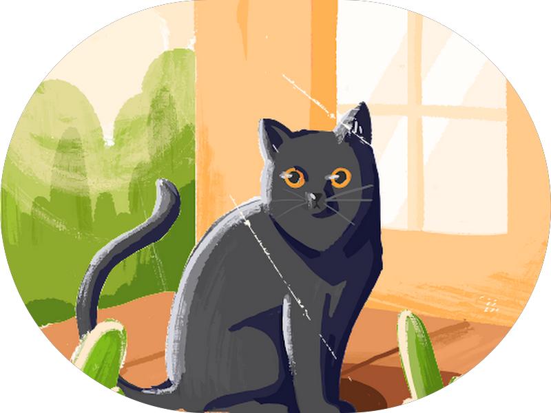 Foto 4 de Dra. Marina Sales