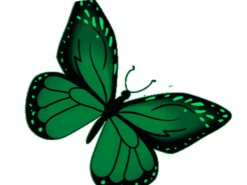 Foto 4 de Dra. Marjorie Almeida - Ortodontia, Invisalign Doctor, Alinhadores Invisíveis, Clareamento, Estética Bucal