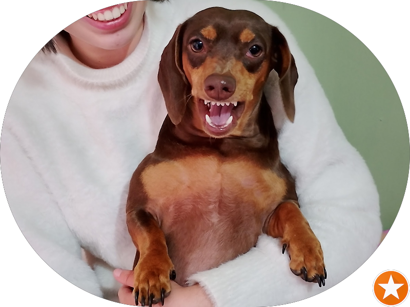 Foto 6 de Dra. Marli Mendes Odontologia Estética