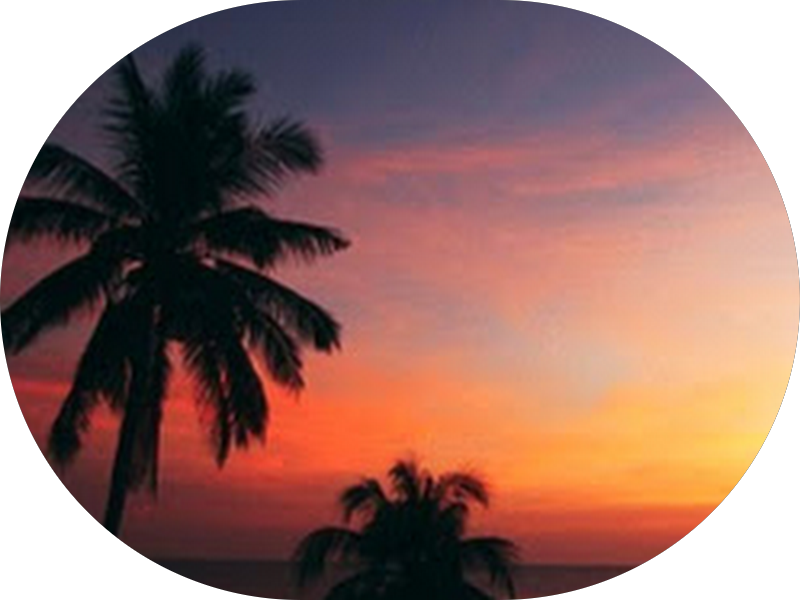 Foto 2 de Dra. Michele Schlindwein Costa