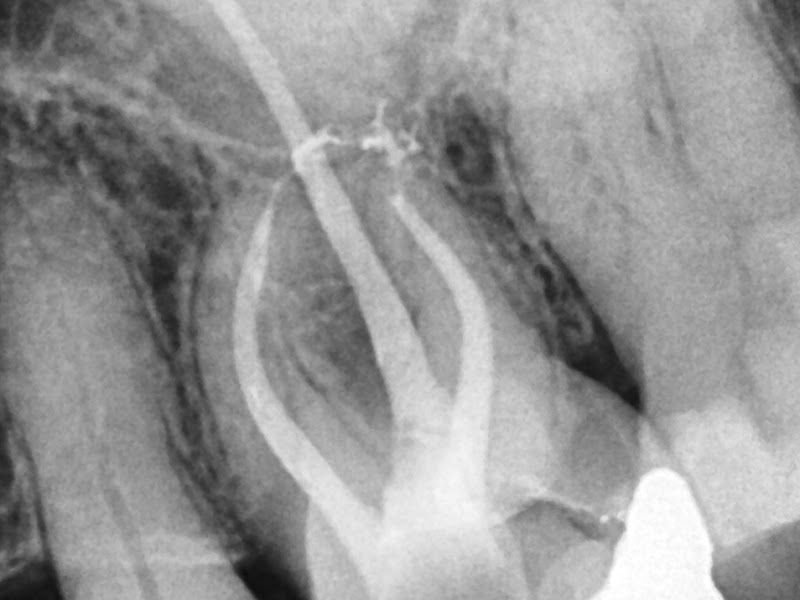 Foto 3 de Dra. Michele Schlindwein Costa