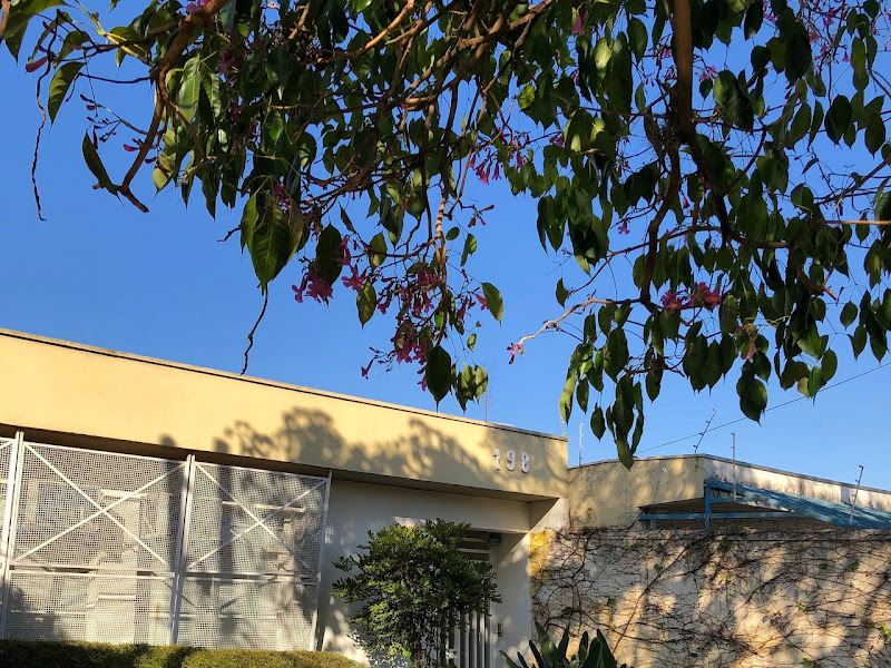 Foto 6 de Dra Moara De Rossi