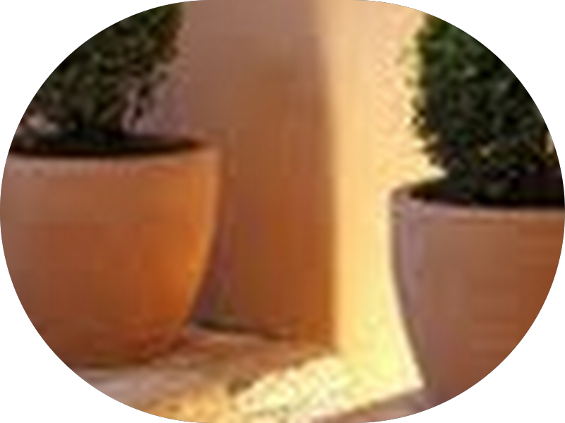 Foto 4 de Dra Monique Ferreira - Consultório Odontológico