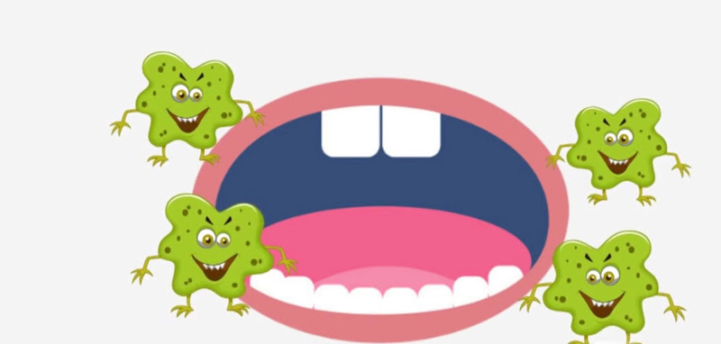 Foto 5 de Dra. Nadja Offa