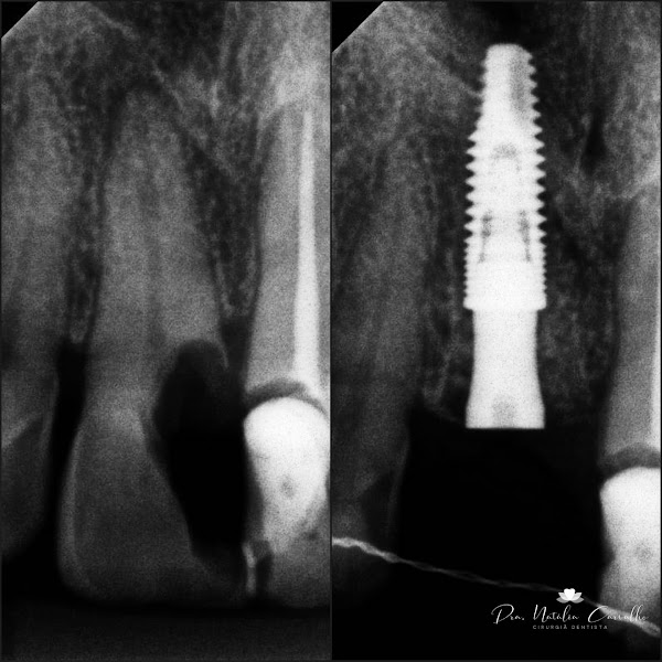 Foto 3 de Dra. Natália Carvalho
