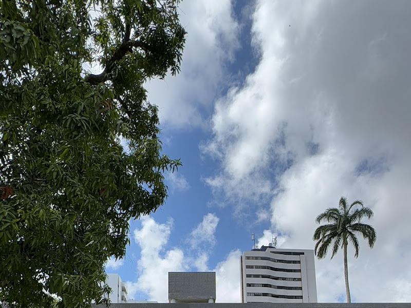 Foto de Dra Nathalia Resende