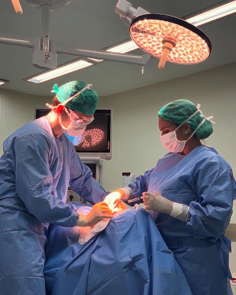 Foto 2 de Dra. Nathalia Schettini, Cirurgiã buco-maxilo-facial, Estomatologista e Especialista em DTM