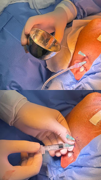 Foto 3 de Dra. Nathalia Schettini, Cirurgiã buco-maxilo-facial, Estomatologista e Especialista em DTM